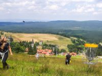zieleniec
